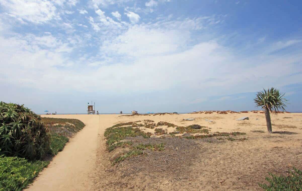 A sandy beach path with sparse vegetation, a lifeguard tower, and a palm tree.
