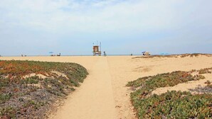 在海灘附近