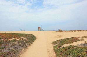 بالقرب من الشاطئ