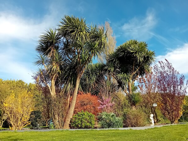 Overnattingsstedets uteområder