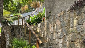 Una escalera de piedra con barandilla de madera, rodeada de abundante vegetación y el tronco de un árbol.