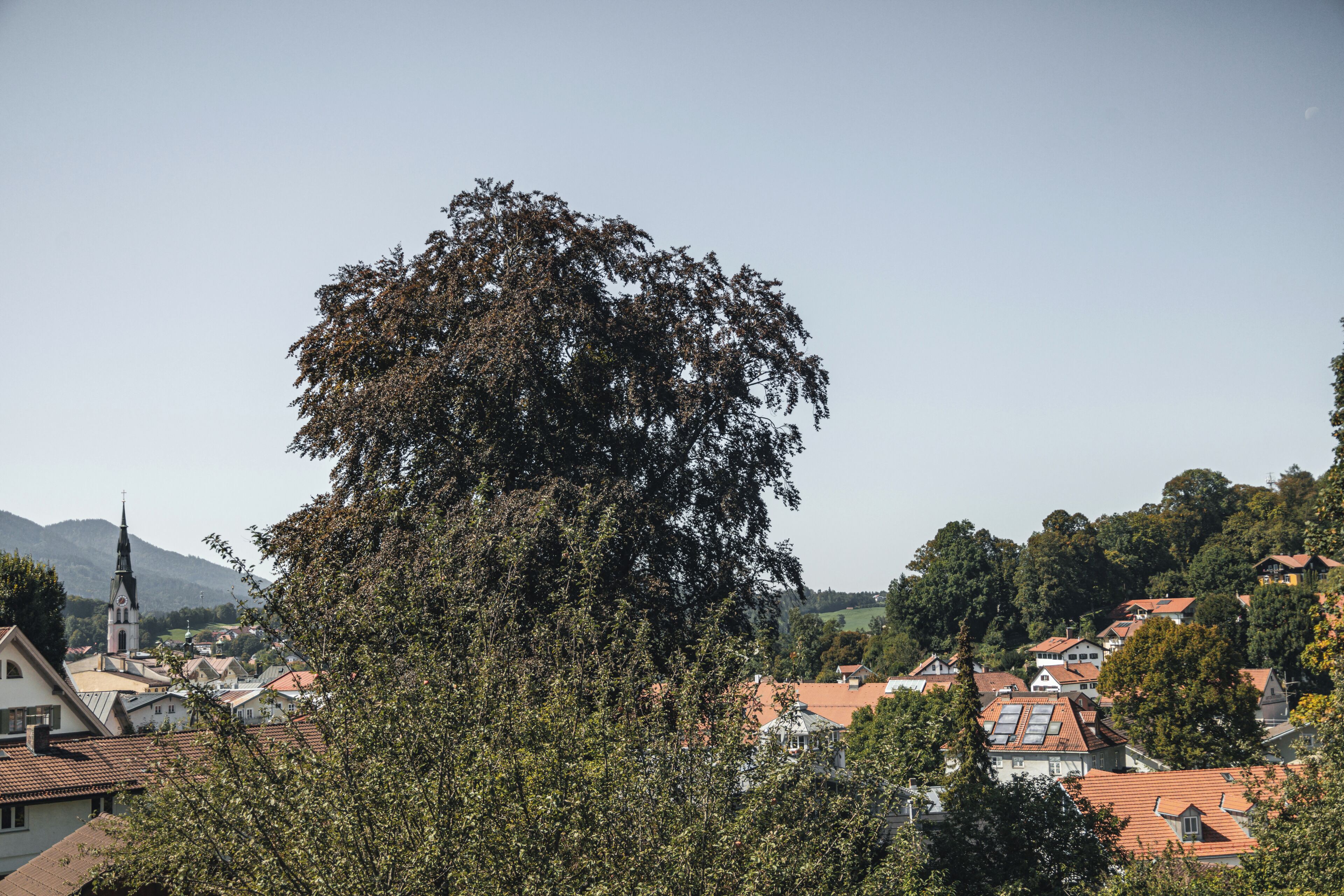 Ausblick vom Zimmer