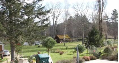 Loue Petit Paradis en Sologne - 7 Chambres, 12 Couchages