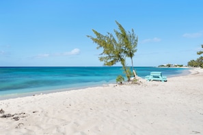 Ein Strand mit weißem Sand, einem türkisfarbenen Pool und einer kleinen Palme.