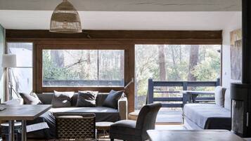 Télévision, cheminée, table de tennis de table