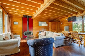 تلفزيون، مدفأة