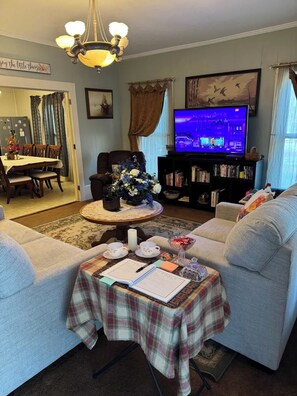 Televisión, chimenea, videojuegos y libros 