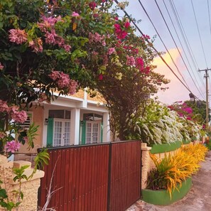 Exterior - Rainbow Inn (St. Andrew)
