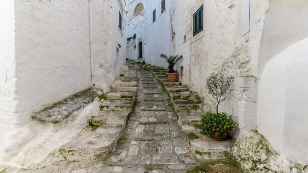 A narrow stone staircase in a white-walled alleyway with a small tree and potted plant at the bottom. - Terrazza Aragonese by Wonderful Italy (Ostuni)