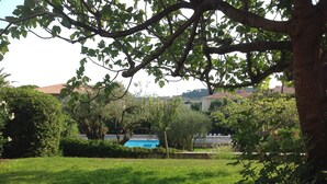 A lush green lawn with a swimming pool surrounded by trees and bushes.