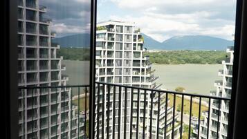 Apartment, 1 Bedroom | View from room