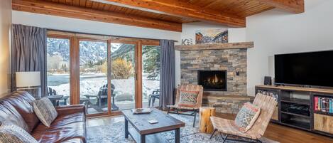 Smart TV, fireplace, books