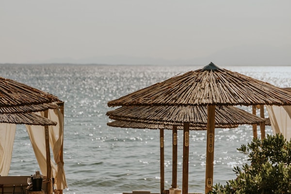 Bar de playa