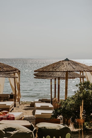 Beach bar. Ergon Beach House Nikiti
