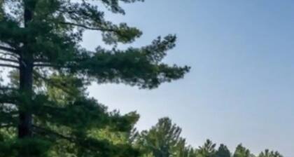 Modern 2 bedroom Cottage on the French River.