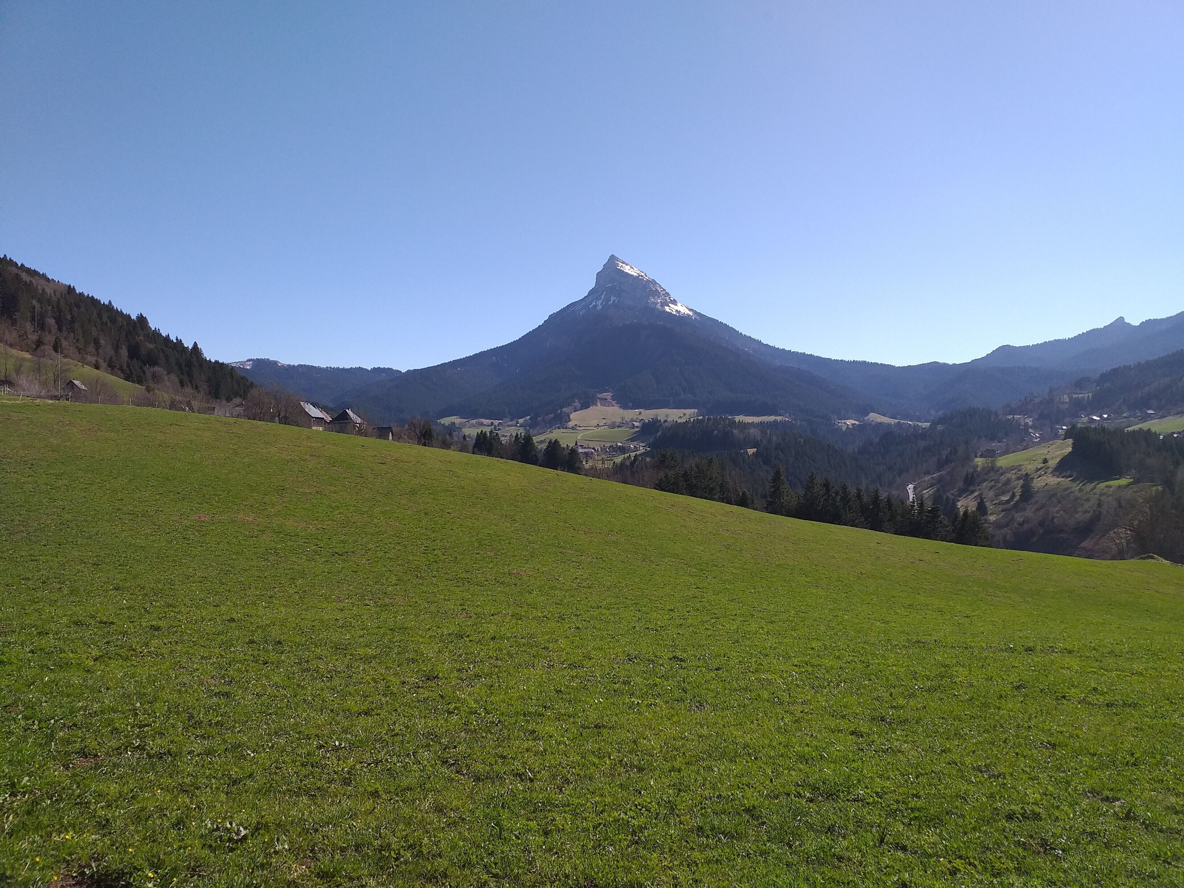 Ein grasbewachsenes Feld mit einem Berg im Hintergrund.