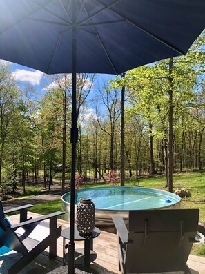 Outdoor spa tub - New Designer Retreat ideal for Families (New Paltz)