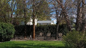 A well-maintained garden with a lawn, a stone bench, and a picnic table. - Silver Lakes Inn (Hayden)