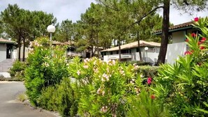 A residential area with houses, a paved driveway, and lush greenery. - Comfortable apartment with pool (Moliets-et-Maa)