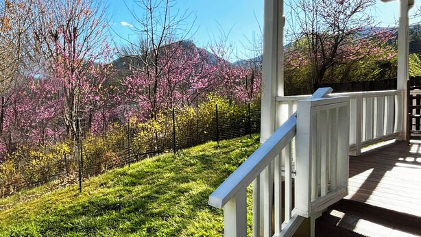 A covered porch with a white railing overlooking a garden with blooming trees and a mountain in the background. - Miraflor Guest House, family and pet friendly (Sylva)