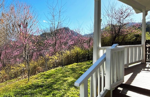 Miraflor Guest House, family and pet friendly