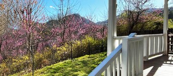 Miraflor Guest House, family and pet friendly