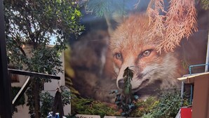 Uma área de terraço ao ar livre com um mural de uma raposa, móveis de madeira e plantas em vasos.