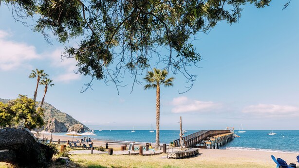 A beach with palm trees, a wooden pier, and lounge chairs. - White s Landing Catalina Camp (Avalon)