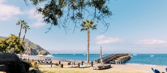 White s Landing Catalina Camp