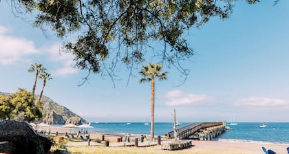 White s Landing Catalina Camp