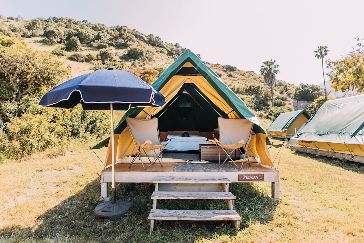 Un terrain de camping avec une tente portant l’inscription « PELICAN 1 », et comprenant un lit, une table et un parasol.