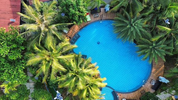 Vista aérea de una piscina rodeada de exuberante vegetación y palmeras.