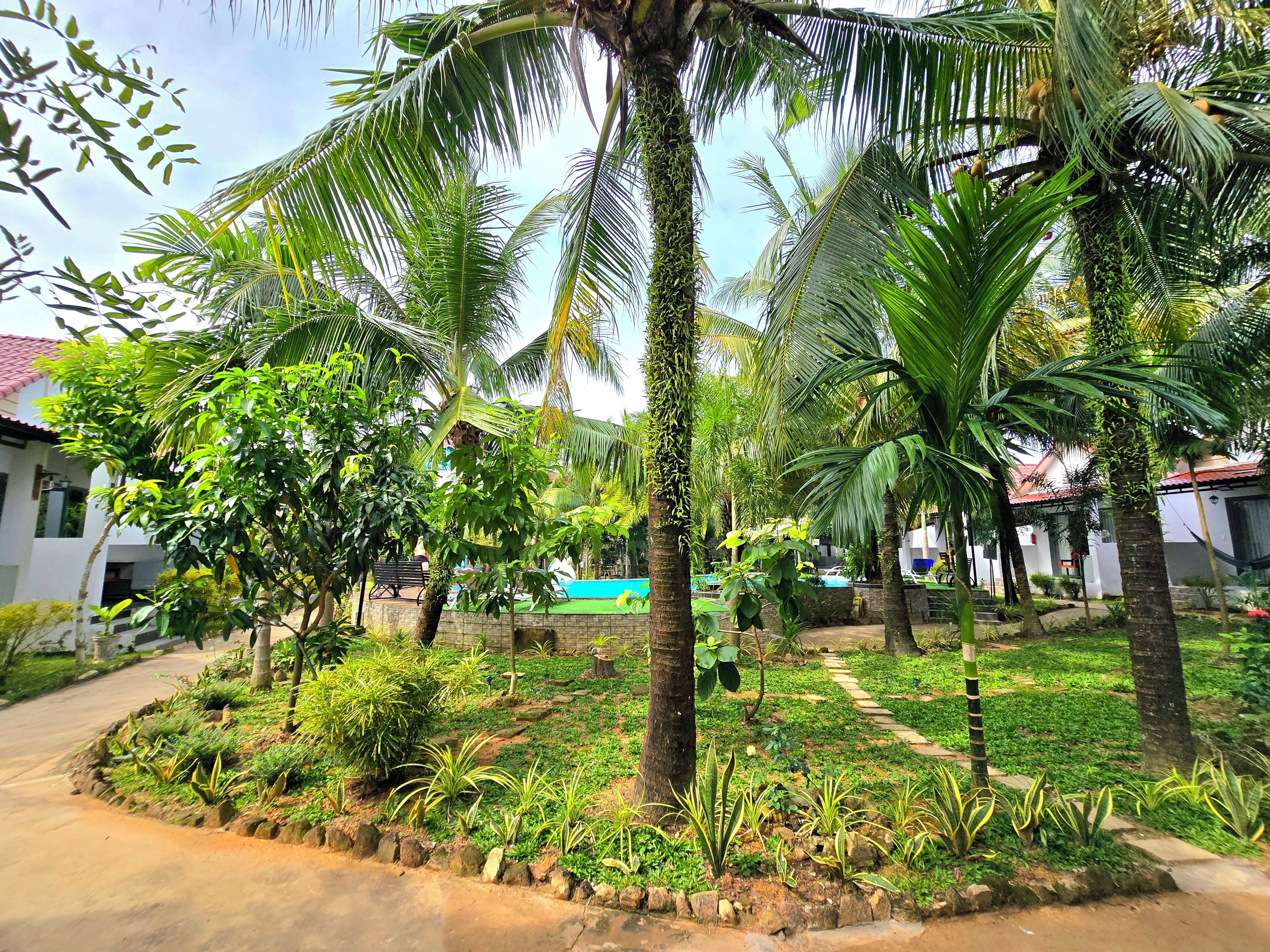 A landscaped garden with palm trees, a pathway, and a pool area.