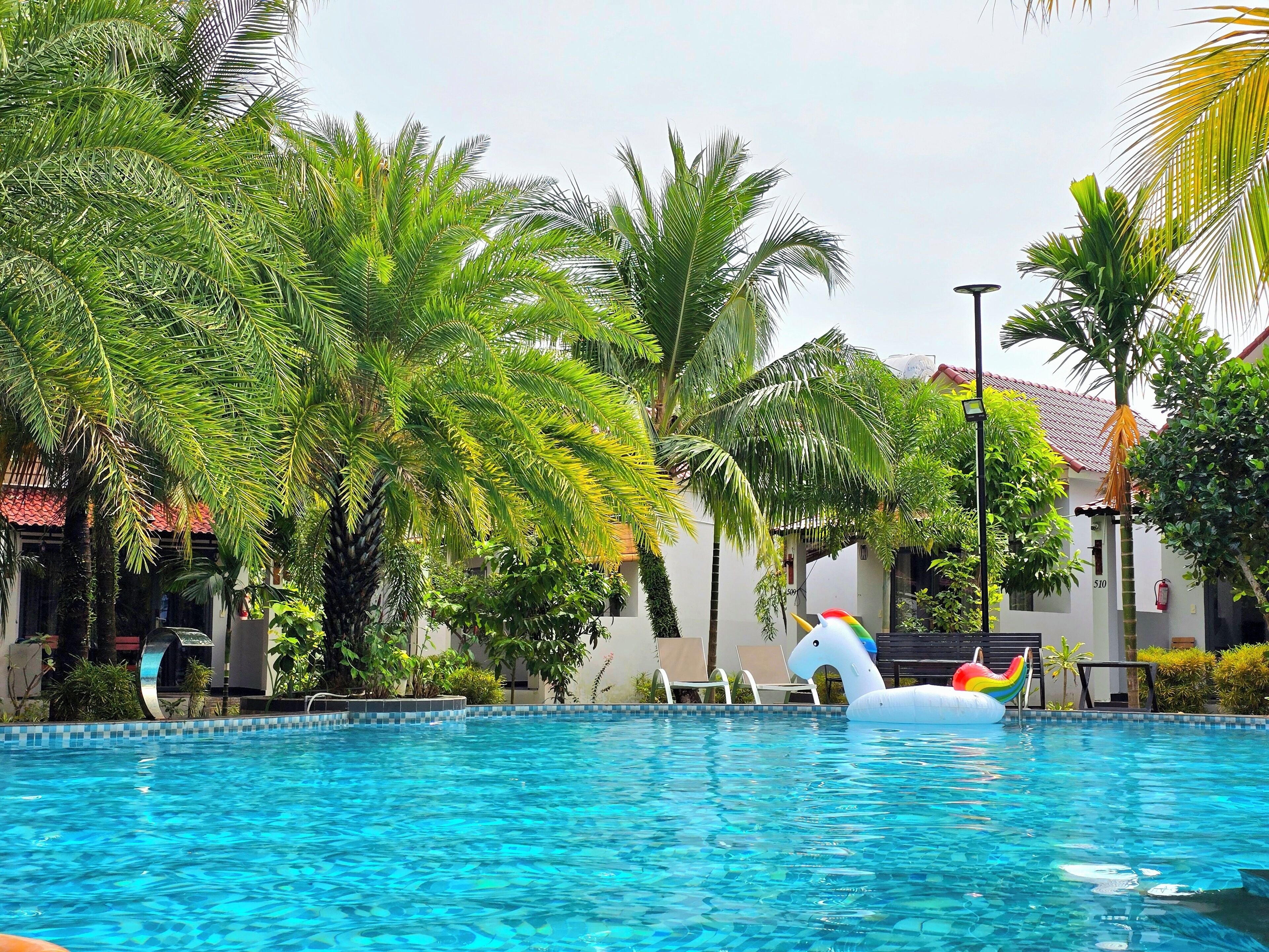 A swimming pool with clear blue water, surrounded by lush green palm trees and a white building with a red roof in the background.