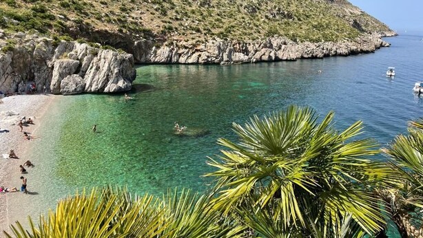 A coastal beach with clear water, rocky cliffs, and palm trees.