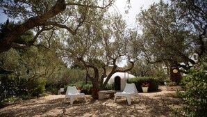 An outdoor seating area with white chairs and a table, surrounded by olive trees and a white dome structure.