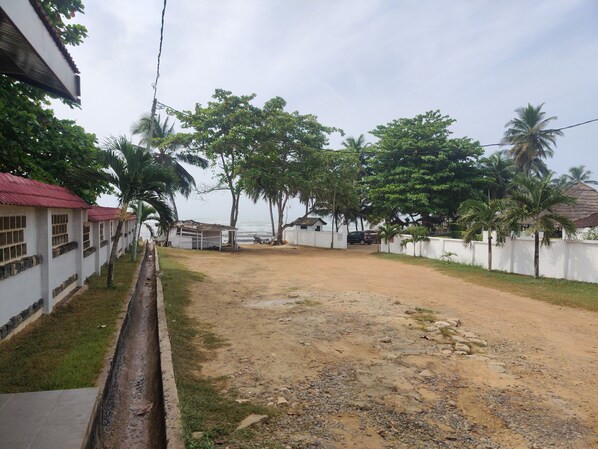 A residential area with a dirt road, white fences, and palm trees.