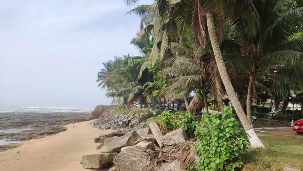 Una playa con costa rocosa, palmeras y un coche rojo estacionado al lado.