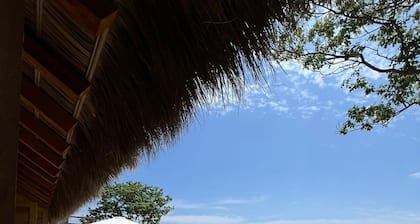 Lujosa villa frente al mar con piscina infinita