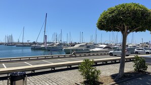 Un port de plaisance avec des bateaux amarrés, une promenade pavée et un arbre.