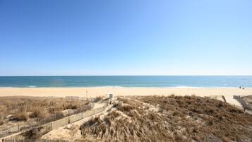 On the beach
