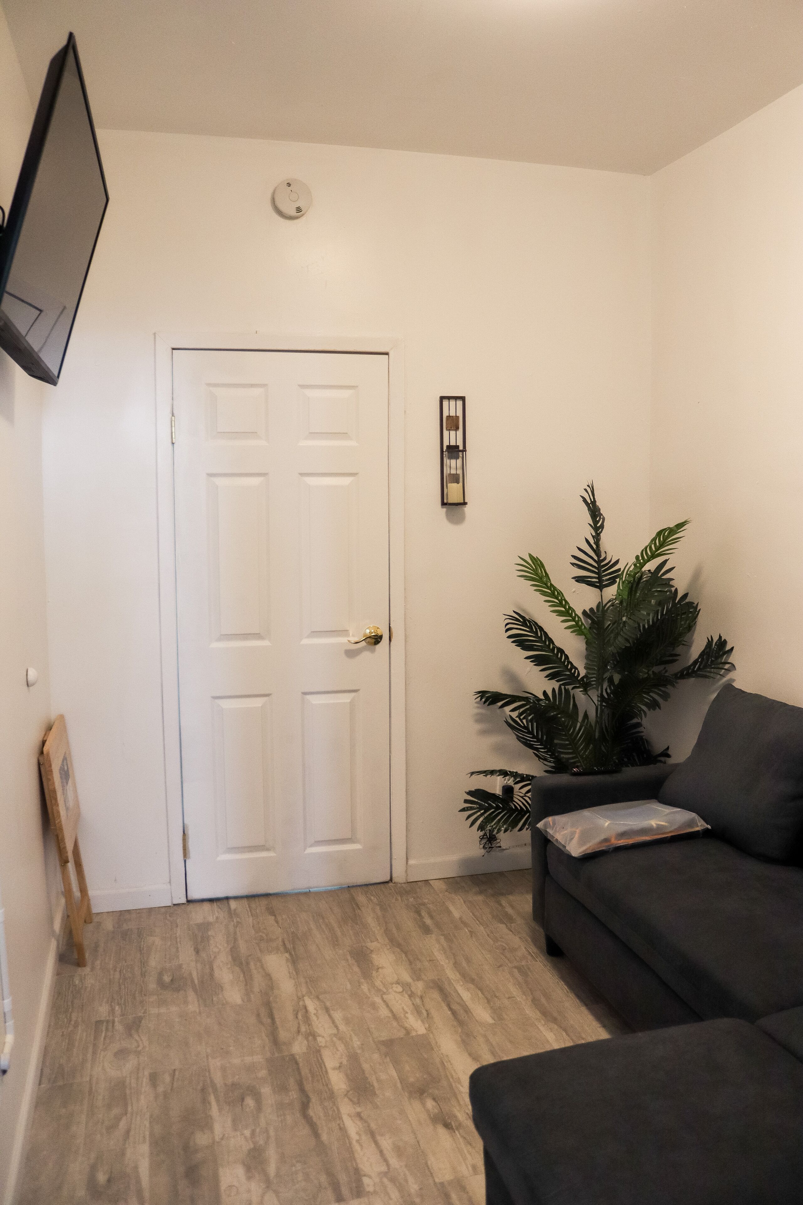 A room with a white door, a mounted TV, a potted plant, and a dark-colored sofa.