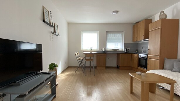 A compact living space with a TV, a dining area, a kitchenette, and a bed. - Apartment in Schloß Nähe (Sögel)