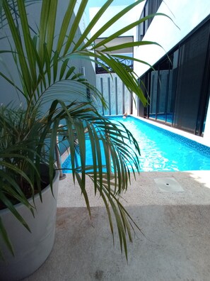 Pool - Beautiful Modern Poolside Apartment (Cancún)