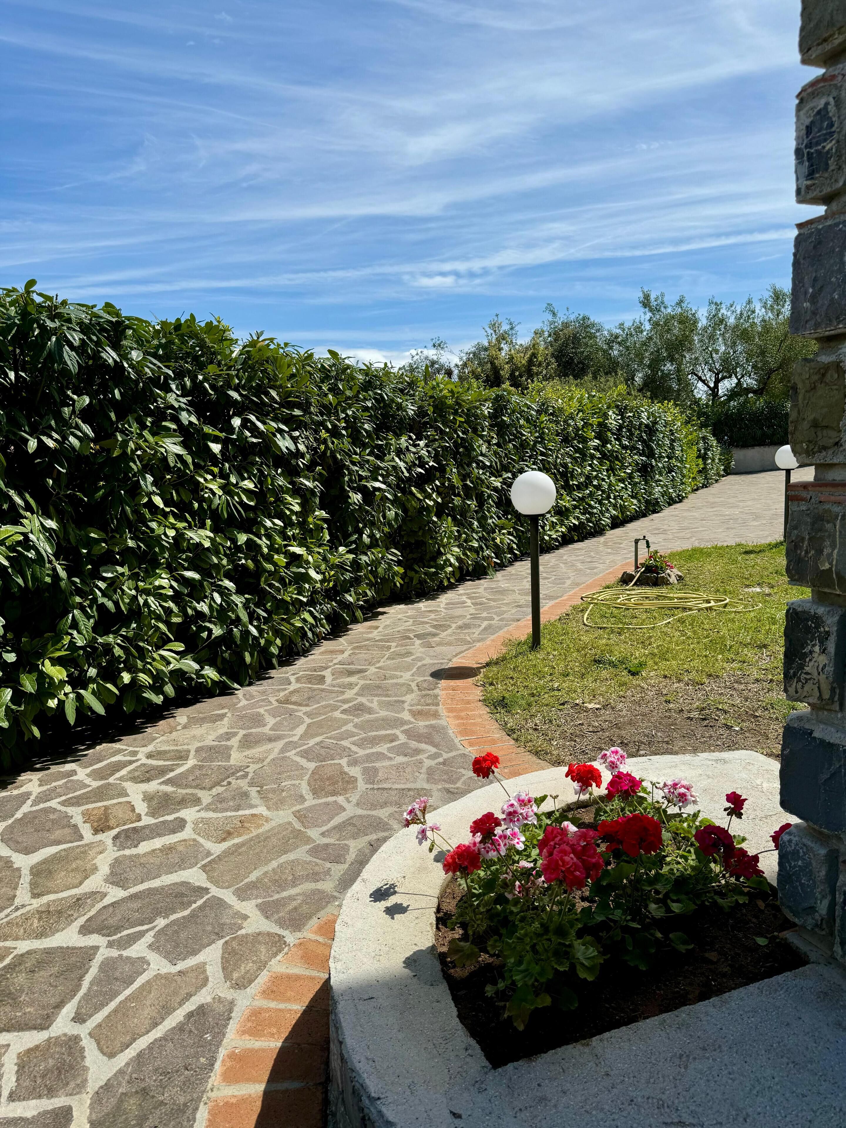 A stone pathway leading through a garden with a hedge on one side and a brick wall on the other.