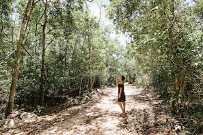 A forest path with a person standing in the center. - Aldea Colibrí (Tulum)