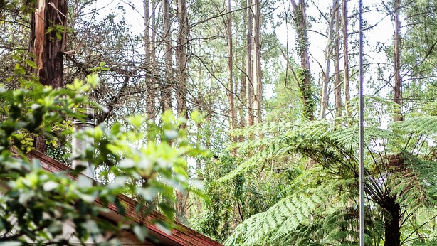 Property grounds - Spa Cottage@FernglenForestRetreat (Mount Dandenong)