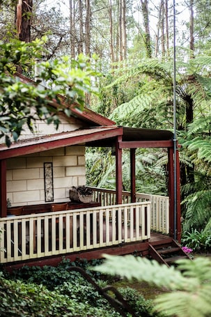 Property grounds. Spa Cottage by Fernglen Forest Retreat
