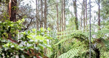 Spa Cottage: Private rainforest with river