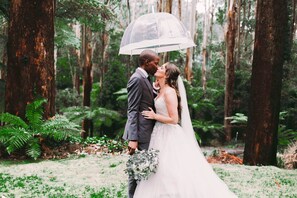 Property grounds - Rainforest weddings, events, retreats, Sleep 20 plus (Mount Dandenong)